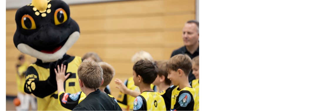 Stellenausschreibung: Praktikum bei den Jona-Uznach Flames