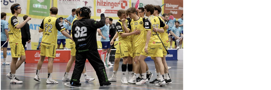 Herren 1 bestätigt gute Leistung mit Sieg gegen Frauenfeld