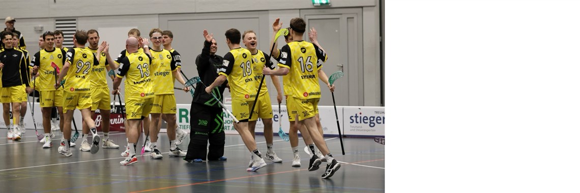 Herren 1 verliert zum Jahresende gegen Herisau nach Verlängerung