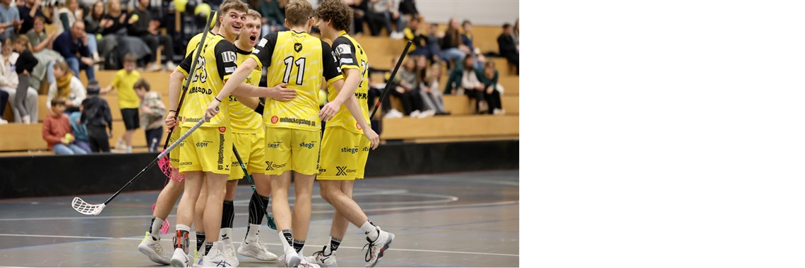 Fünf Punkte aus Doppelrunde – Herren 1 sichert sich das Playoff-Ticket