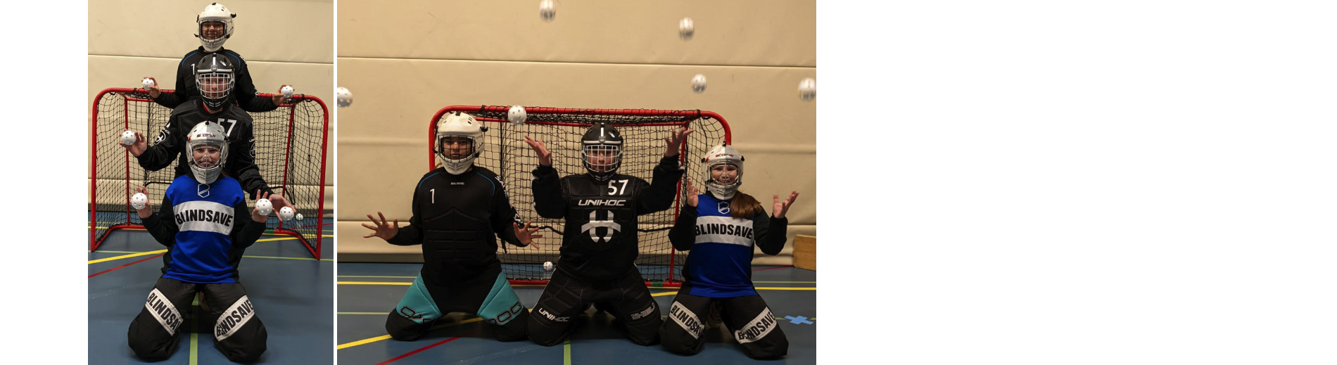 Dringend gesucht: Goalie Girls